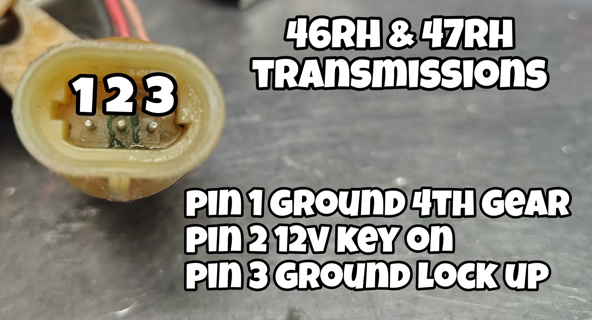 571160611_10235166233089936_4052324236929136688_n